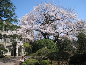 campus